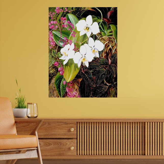 Malayan Moth Orchid och American Kliber Poster (Vardagsrum 2)
