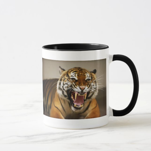 Malayan mugg för tiger #2 (Höger)