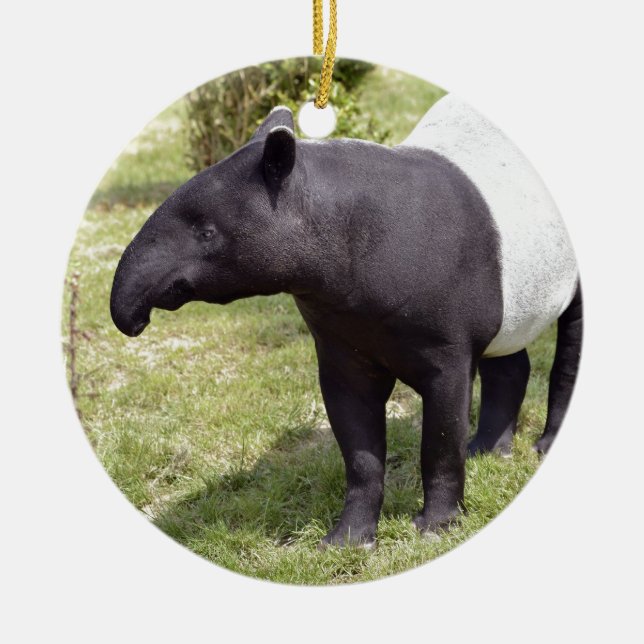 Malayan tapir på gräs julgransprydnad keramik (Framsidan)