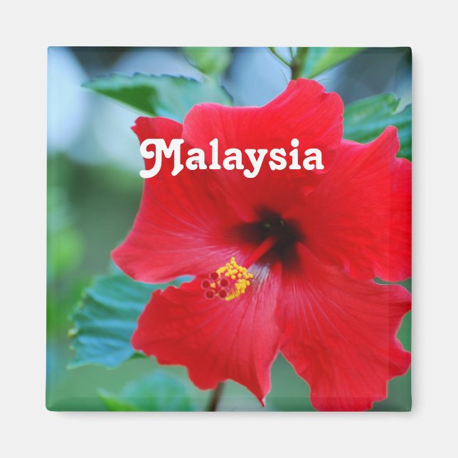 Malaysia Magnet (Framsidan)