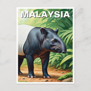 Malaysia Malayan Tapir Vykort