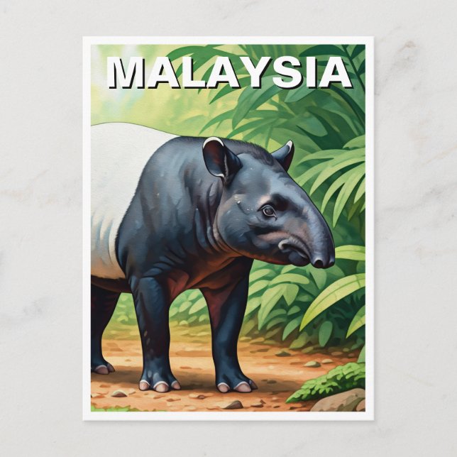 Malaysia Malayan Tapir Vykort (Framsida)