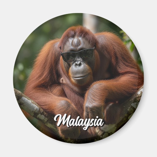Malaysia Orangutan med solglasögon Magnet (Framsidan)