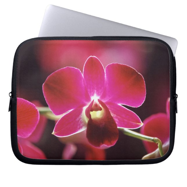 Malaysia, Orkidé Laptop Fodral (Framsidan)