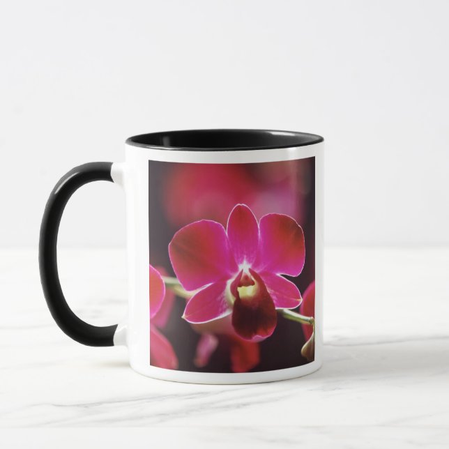 Malaysia, Orkidé Mugg (Vänster)