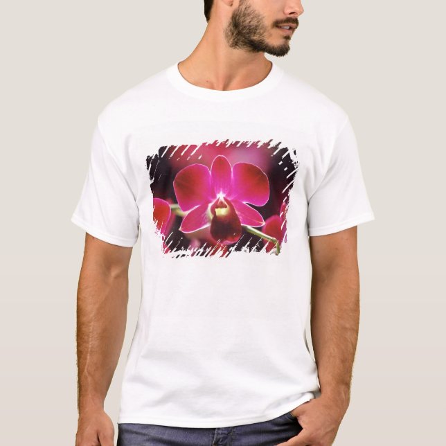 Malaysia, Orkidé Tee Shirt (Framsida)
