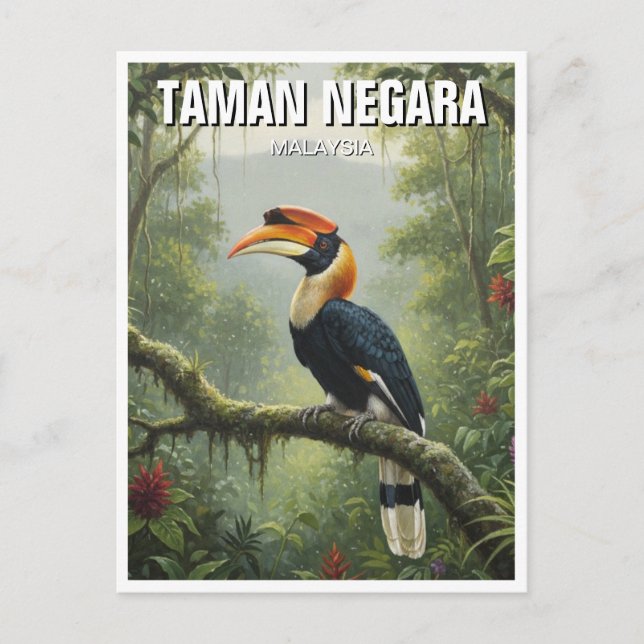 Malaysia Taman Negara Hornbill Vykort (Framsida)