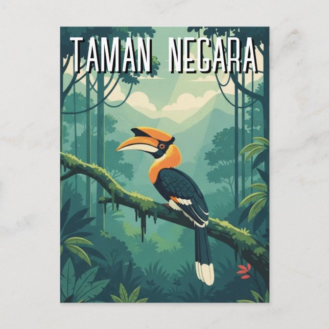 Malaysia Taman Negara Hornbill Vykort (Framsida)