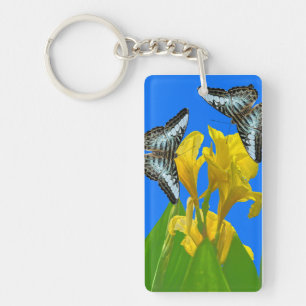 Malaysisk blå knaprigbutterflies Keychain