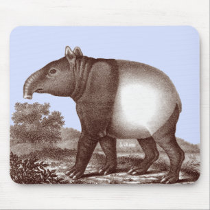 MalayTapir i en landskapbakgrundsanpassade Musmatta