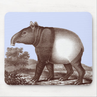 MalayTapir i en landskapbakgrundsanpassade Musmatta