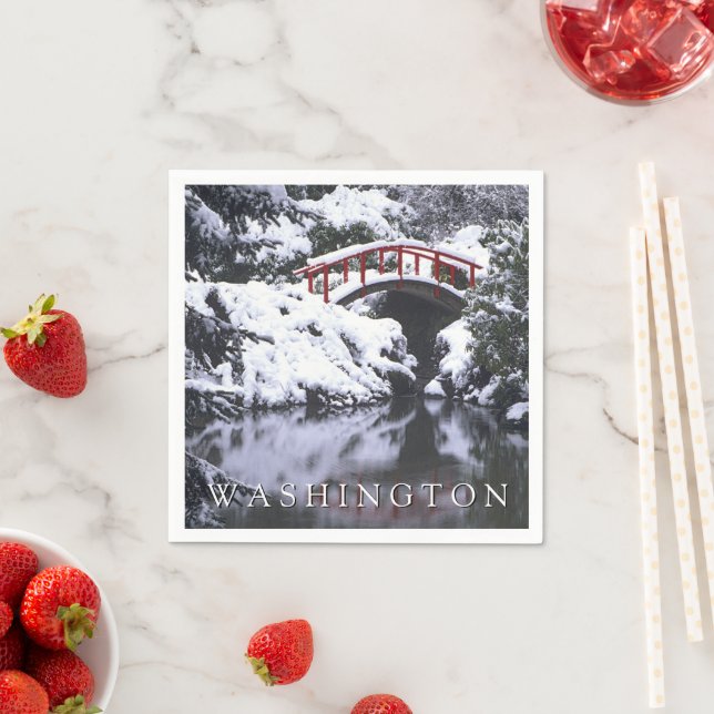 Målbrygga & damm i vinter | Seattle, Washington Pappersservett (Insitu)
