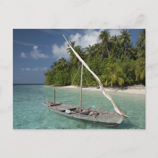 Maldiverna, North Male Afee, ön Kuda Vykort (Framsida)