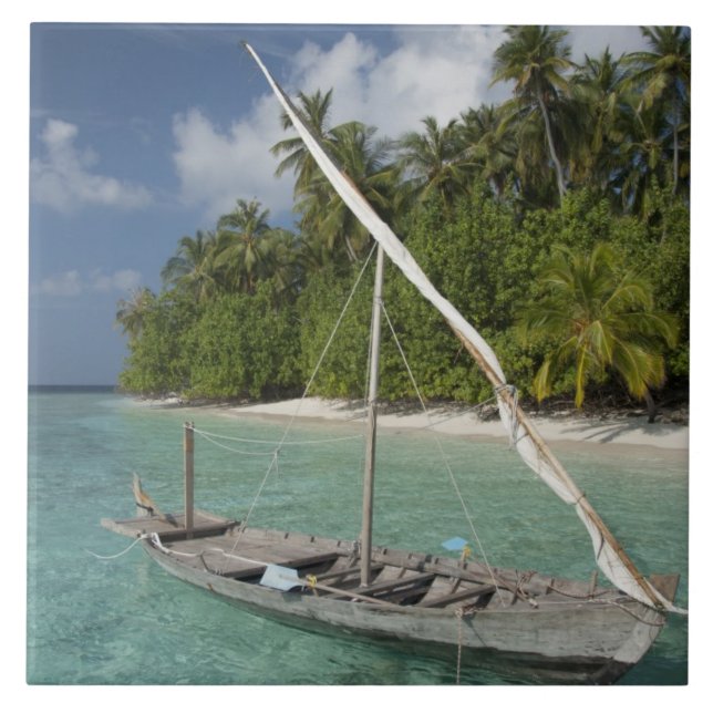 Maldiverna, North Male Atoll, ön Kuda Kakelplatta (Framsidan)