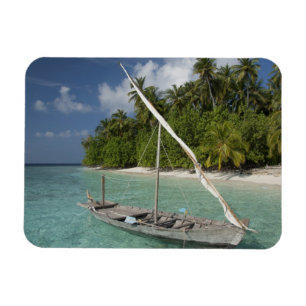 Maldiverna, North Male Atoll, ön Kuda Magnet