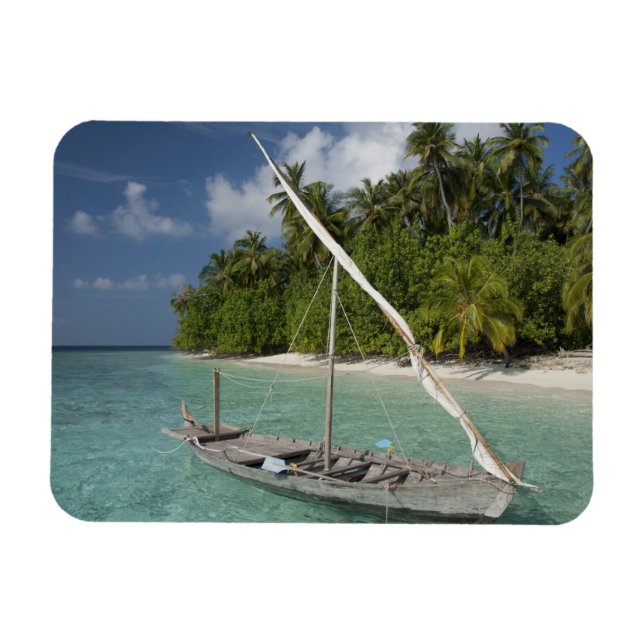 Maldiverna, North Male Atoll, ön Kuda Magnet (Horisontell)