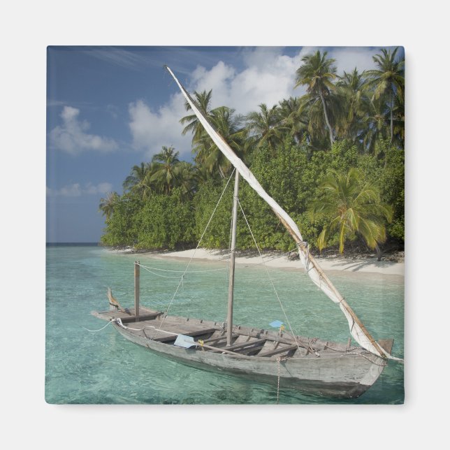 Maldiverna, North Male Atoll, ön Kuda Magnet (Framsidan)
