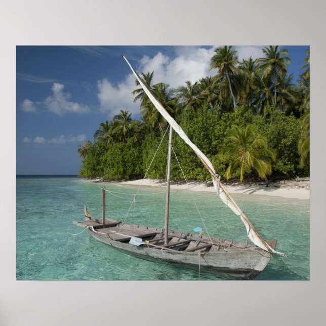 Maldiverna, North Male Atoll, ön Kuda Poster (Framsidan)