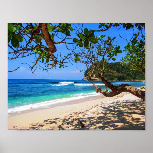 Maldiverna ö efter storeman. poster (Framsidan)