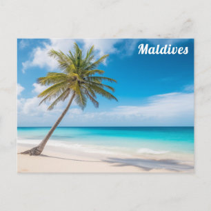 Maldiverna Ö Island Strand Palm Träd Resa Vykort