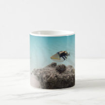 Maldiverna Vita havsbottnen Koral Fish Souvenir