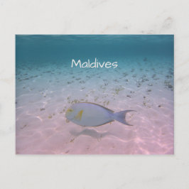 Maldives Hälsning Vykort