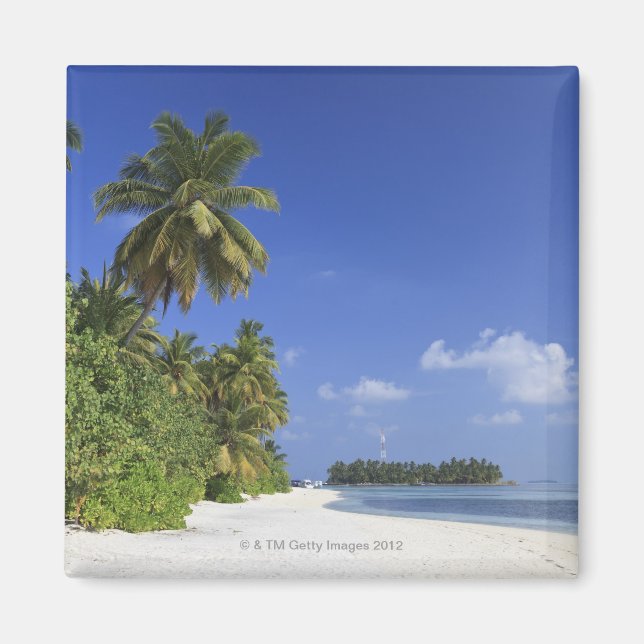 Maldives, Meemu Afee, Medhufushi Island Magnet (Framsidan)
