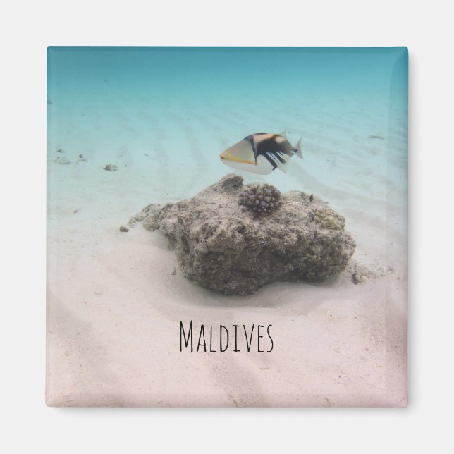 Maldives White Sand Lagoon Coral Fish Souvenir Magnet (Framsidan)