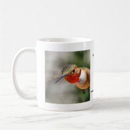 Male Allens Hummingbirdmugg Kaffemugg