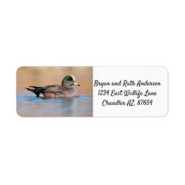 Male American Wigeon Returadress Etikett