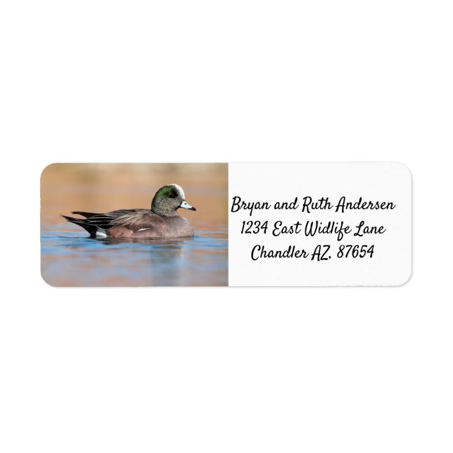 Male American Wigeon Returadress Etikett (Framsidan)