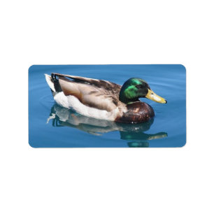Male Anka Address Label Adressetikett