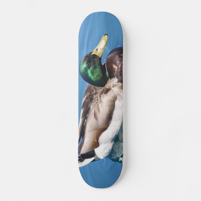Male Anka Skateboard (Framsida)