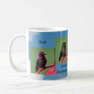Male Ann'a Hummingbird Mugg