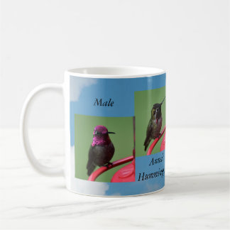 Male Ann'a Hummingbird Mugg