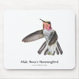 Male Annas Hummingbird Mousepad Musmatta
