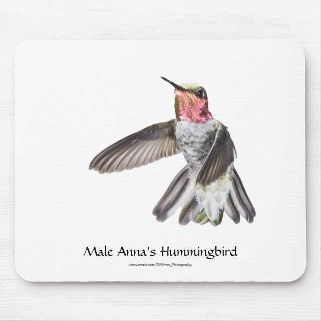Male Annas Hummingbird Mousepad Musmatta (Framsidan)