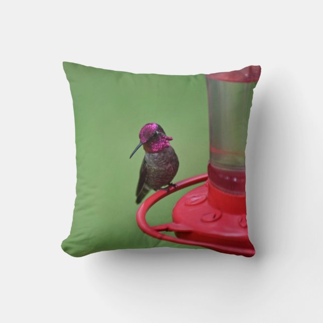 Male Anna's Hummingbird Pillow Kudde (Framsida)
