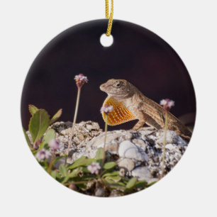 Male Brown Anole Lizard visar Dwlap Julgransprydnad Keramik