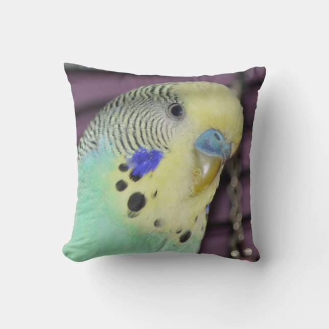 Male Budgie-/parakiter Kudde (Framsida)