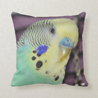 Male Budgie-/parakiter Kudde