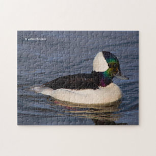 Male Bufflehead Anka under eftermiddagen Sol Pussel