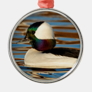 Male Bufflehead i Sol vid eftermiddagen Julgransprydnad Metall