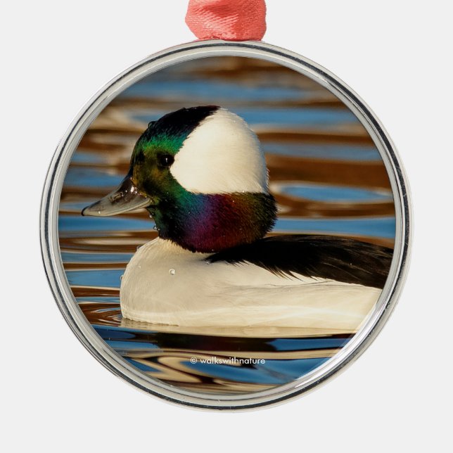 Male Bufflehead i Sol vid eftermiddagen Julgransprydnad Metall (Framsidan)