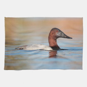 Male canvasback anka kökshandduk