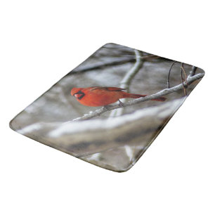 Male Cardinal Badrumsmatta