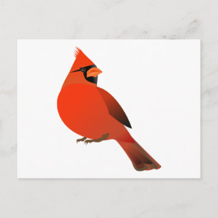 Male Cardinal Bird Vykort