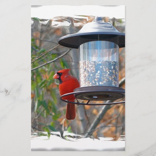 Male Cardinal Brevpapper (Framsida)