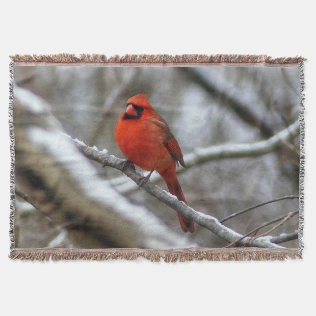 Male Cardinal Filt (Framsidan)