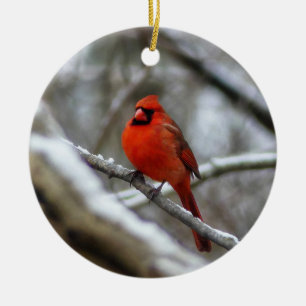 Male Cardinal Julgransprydnad Keramik